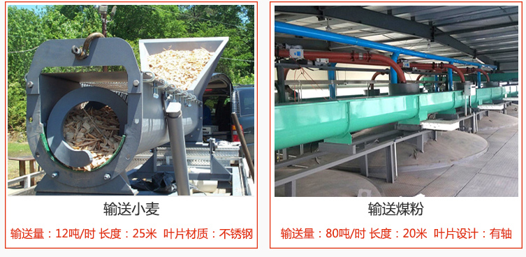 絞龍螺旋輸送機(jī)輸送小麥輸送量在12噸/時(shí)，長(zhǎng)度為25米，葉片采用不銹鋼材質(zhì)；輸送水泥輸送量在80噸/時(shí)，長(zhǎng)度為20米，葉片設(shè)計(jì)為有軸。